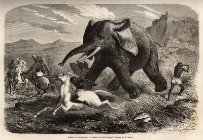 An elephant ends the troop that chased him and charges the hunters on horseback, while one of the hunters arms his arm to stop it and finish it with a swamp. Engraving to illustrate the exploration of the Abyssinian tributaries of the Nile, by Sir Samuel W by Unknown artist