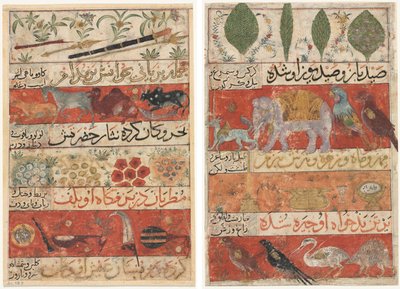 Animals, Precious Stones, Coins, and Musical Instruments (recto); Animals, Birds, and Plants (verso) from 