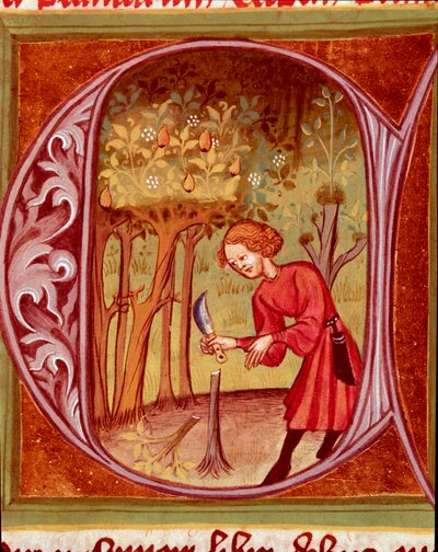 Botanical: A Gardener Practicing a Transplant. Miniature taken from 