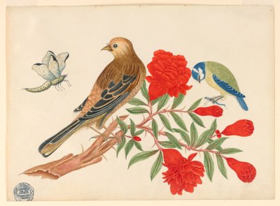 Brown-and-Black Bird and Blue-and-Yellow Bird on Branch with Red Blossoms, Hunting Insects by Unknown artist