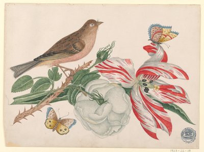 Brown Bird on Branch with Rose, Tulip, and Insects by Unknown artist