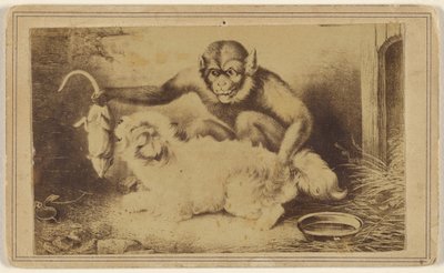 Monkey Holding a Rat by Its Tail in Front of a Small White Dog by Unknown artist