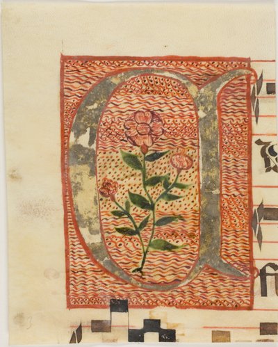 Decorated Initial "A" with Flower from a Manuscript by Unknown artist