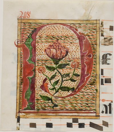Decorated Initial "P" with Flowers from a Manuscript by Unknown artist