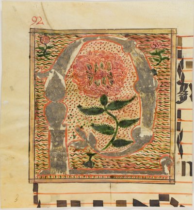 Decorated Initial "P" with Roses from a Manuscript by Unknown artist