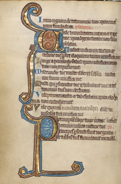 Decorated Initial V; Decorated Initial P by Unknown artist