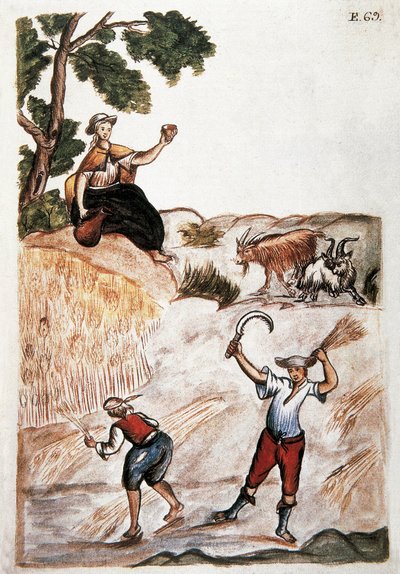 Harvests, Indians of Peru Working in the Fields by Unknown artist