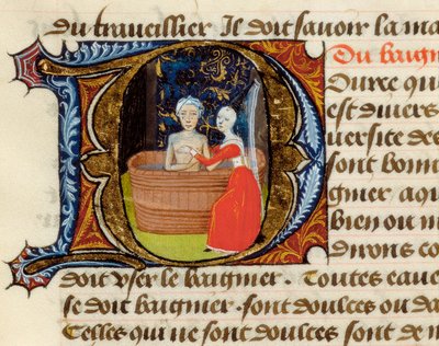 Hygiene and benefits of the toilet, from the Treaty of Medicine by Aldebrande of Florence, manuscript by Unknown artist