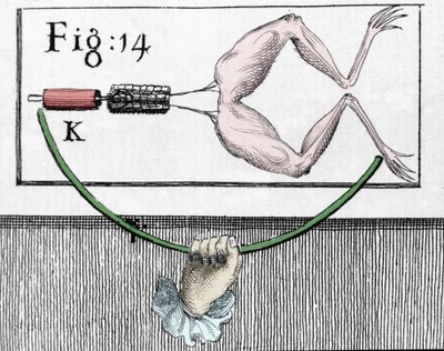 Illustration of experiments by Luigi Galvani, Italian physicist and physician (1737 - 1798) explaining the passage of electric current moving the legs of a frog. by Unknown artist