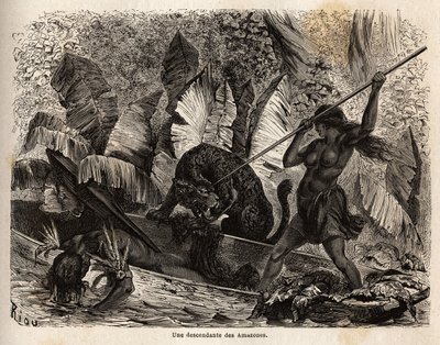 Indian Ticuna Attacking a Tiger by Unknown artist