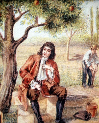 Isaac Newton, English mathematician, physicist and astronomer, finds the theory of gravitation by observing the fall of an apple tree, an illustration of the 19th century by Unknown artist
