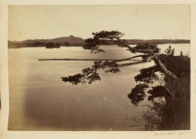 Landscape with Lake and Trees by Unknown artist