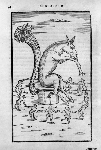 The Donkey Timon Dancing with the Alchemists - from 