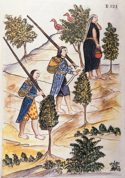 Motilones Indians going to hunt, from the book "Trujillo del Peru" or "Codex Martínez Compañón", by Baltazar Martinez Compañón y Bujanda, bishop of Trujillo (1782-1785) by Unknown artist