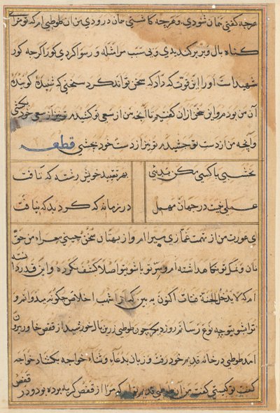 Page from Tales of a Parrot (Tuti-nama): text page by Unknown artist