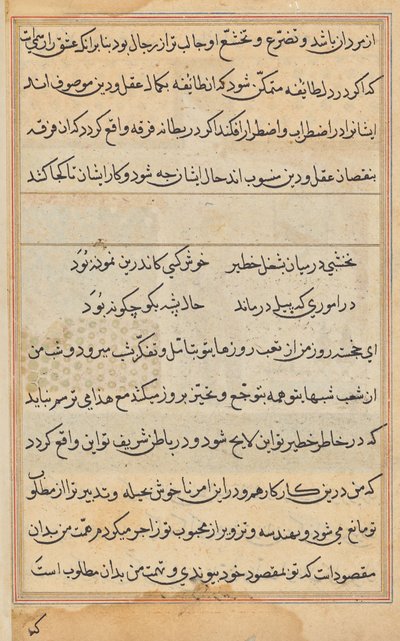 Page from Tales of a Parrot (Tuti-nama): text page by Unknown artist