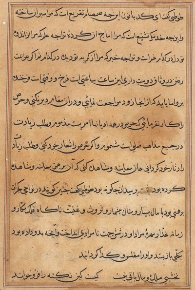 Page from Tales of a Parrot (Tuti-nama): text page by Unknown artist