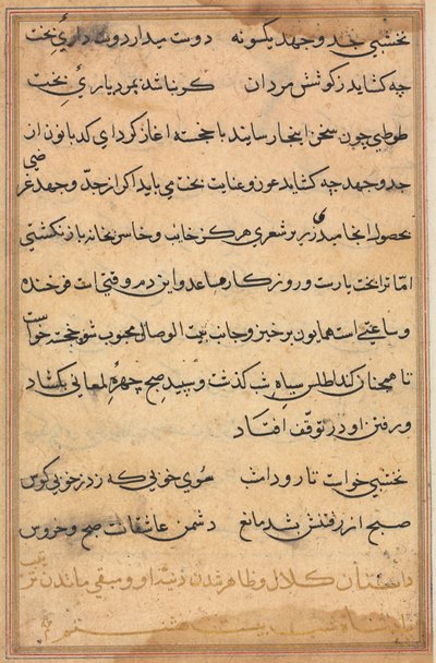 Page from Tales of a Parrot: text page by Unknown artist