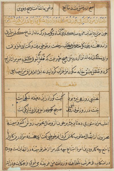 Page from Tales of a Parrot (Tuti-nama): text page by Unknown artist