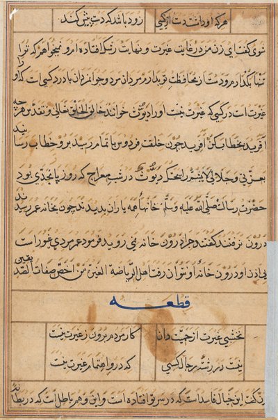 Page from Tales of a Parrot (Tuti-nama): text page by Unknown artist