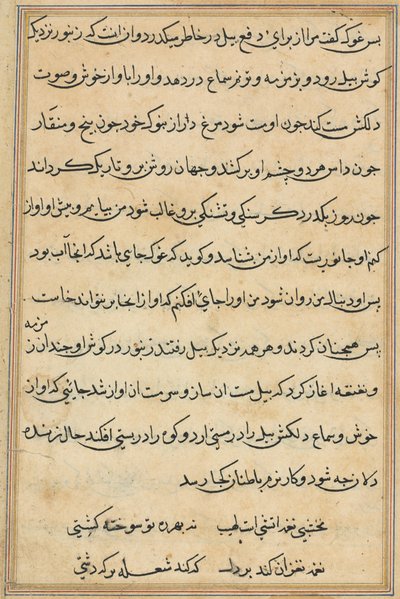 Page from Tales of a Parrot (Tuti-nama): text page by Unknown artist