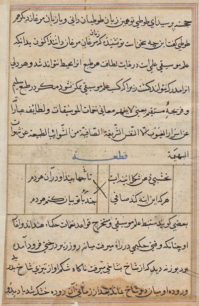 Page from Tales of a Parrot (Tuti-nama): text page by Unknown artist