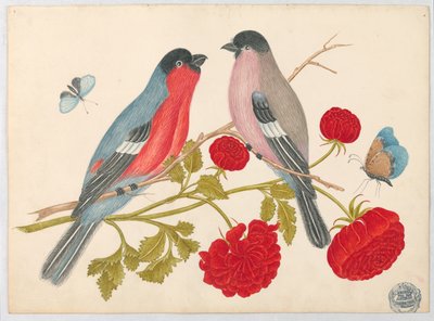 Pair of Birds on Branch with Roses and Butterflies by Unknown artist