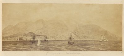 Panorama of the Port, Funchal, Madeira by Unknown artist