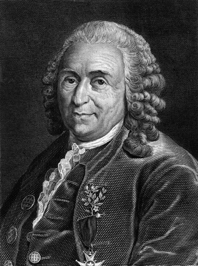 Portrait of Carl Von Linné, Swedish naturalist and writer (1707 - 1778). Engraving of the 19th century by Unknown artist