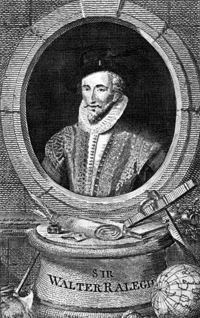 Portrait of Sir Walter Raleigh (1554 - 1618), English courtier, navigator, and writer. Engraving of the 18th century by Unknown artist