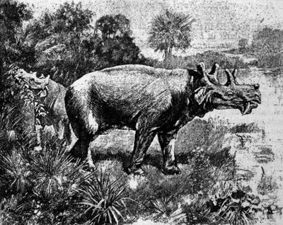 Prehistory: representation of a four-horned Uintatherium dinosaur. by Unknown artist