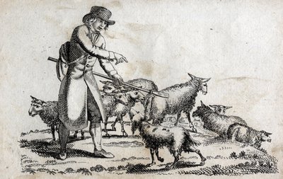 Shepherd with his herd of sheep. Engraving late 18th century. Private collection. by Unknown artist