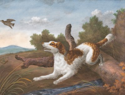 Springer: A Spaniel Bounding Over a Log to Spring a Snipe on the Left by Unknown artist