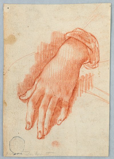 Study of the Left Hand of a Woman by Unknown artist