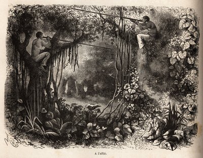 The Yahua Indians of Peru on the lookout for game by Unknown artist