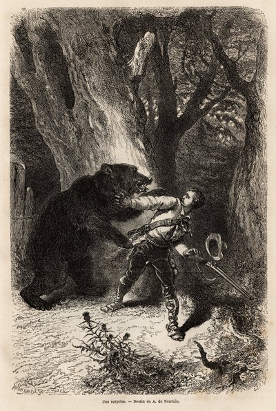 The author, during an excursion around Jacksonville, is surprised in the forest by a domestic bear and chain. Engraving to illustrate the story four months in Florida by Unknown artist