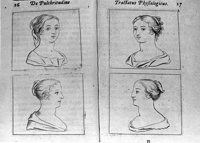 The Different Female Profiles Page Taken from Tractatus Physiologicus de Pulchritudine by Ernesto Venio Defending the Beauty of Creation Against an Anonymous Opponent. 1612 by Unknown artist
