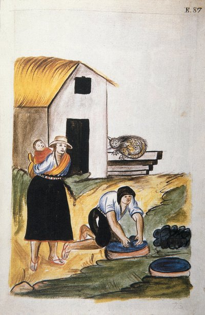 The dyeing of wool, from the book 