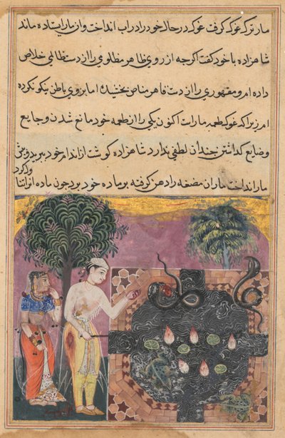 The prince, having deprived the snake of its natural food, a frog, feeds it with a piece of his own flesh, from a Tuti-nama (Tales of a Parrot): Eighteenth Night by Unknown artist