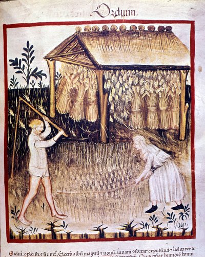 Two peasants recuperate the barley. Illumination from 