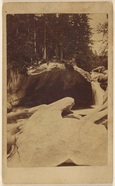 Unidentified Forest View with Rocks and Cavern by Unknown artist