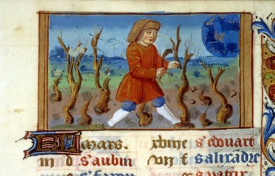 Zodiac Aries and tree size - Miniature of the Middle Ages by Unknown artist