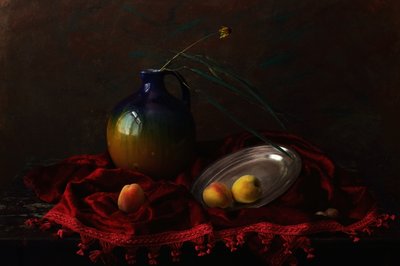 Dark Velvet Still Life by UstinaGreen