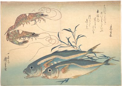 Aji Fish and Kuruma-ebi, from the series Uozukushi (Every Variety of Fish) by Utagawa Hiroshige