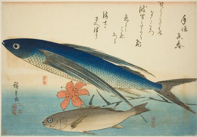 Flying Fish and Ichimochi, from an Untitled Series of Fish by Utagawa Hiroshige