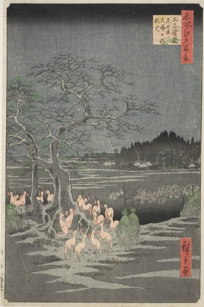 Fox Fires on New Year