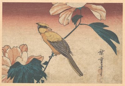Hibiscus Mutabilis and Jay by Utagawa Hiroshige