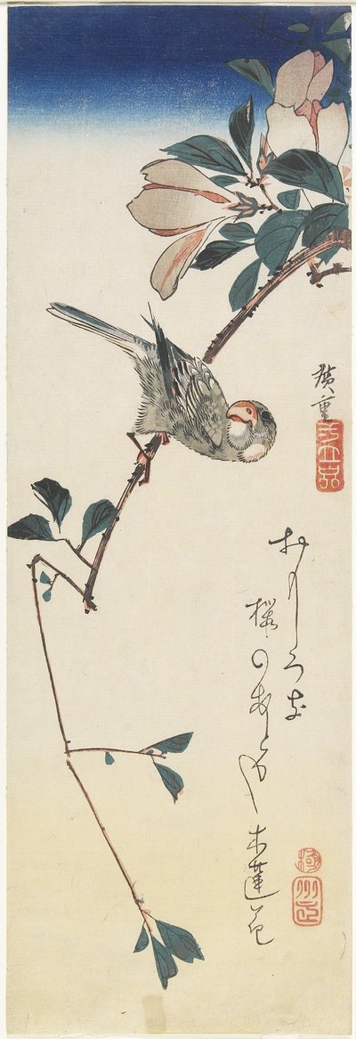 Java Sparrow and Magnolia by Utagawa Hiroshige