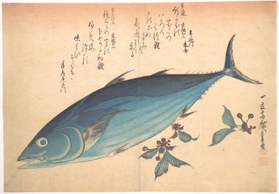 Katsuo Fish with Cherry Buds, from the series Every Variety of Fish by Utagawa Hiroshige