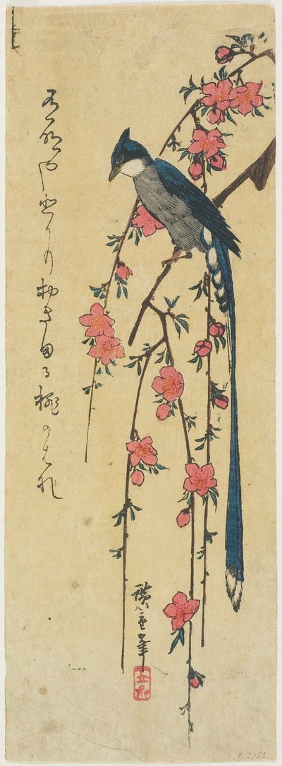 Long-tailed Bird on Blossoming Peach by Utagawa Hiroshige